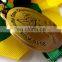 2015 Asia Pacific Open Championship award Customized medal zinc alloy with antique brass plated