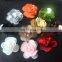 Fashion Beaded Sequin Flower Applique Patches for Dress