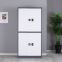 Manufacturers supply steel double section file file security cabinet