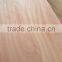 Sapele/ Okoume/ Bintagor plywood sheet