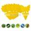 12 Pack Yellow Sticky Traps Double Side Sticky Trap for Catching Gnat Fruit Fly White Fly Aphid Leaf Miner