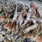 High Quality Dried Fish from VIetnam