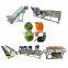 High Quality Fruits and Vegetables Washing and Drying Processing Line leaves vegetables Cleaning Production Line
