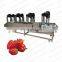 Best  price commercial use vegetable strawberry washing machine fruit cleaning production line