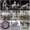 high efficiency Flat round stone engraving machine