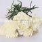 Low price Snow White white color carnation flower