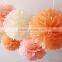 Tissue Paper Pom Poms Wedding Party Decor Craft Paper Flower For Wedding Decoration                        
                                                Quality Choice