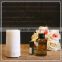 Hot sell Ultrasonic Electronic Air Humidifier Essential Oil Aroma Diffuser usb aroma diffuser air humidifier
