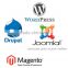 Professional Drupal,wordpress Website Design Services In India