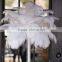 White Bulk Ostrich Feather For Wedding Centerpieces Decoration