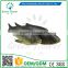 Greenflower 2016 Wholesale artificial PU fish Male fish China handmaking decoration