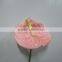 Elegant in Smell Factory Direct Fresh Antirrhinum Bunch