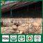 Oak Tree Mushrooms,Shiitake Mushroom Kit,Organic Shiitake Mushroom