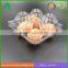 Sale PET / PVC Plastic Egg Tray/egg Box