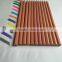 High Quality 12 Colors Plastic Pencils for Kids