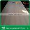 E1 E2 red oak veneer plywood /WBP