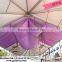 New style Trade Assurance high peak pvc tent