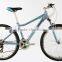 26" Hot sale 21speed Alloy Mountain Bicycle(FP-AMTB15013)