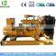 Micro CHP LPG LNG CNG natural gas generator 300kw for sale