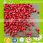 HDPE/LDPE/LLDPE Color Master batch for Making Plastic Bags