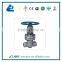 WCB Butt Weld Gate Valve