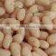 Canned white kidney beans with good quality for sale