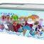 205L commercial display freezer ice cream fridge ice cream Refrigerator ice cream freezer
