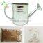 Galvanised Metal Watering Can Herb Flower Pot Container