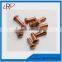 Precision Brass Grub Screw,Brass Self tapping Screw