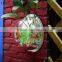 best selling china manufacturer wall mount acrylic fish tank