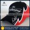 Professionally cap manufacturer embroidery logo custom cheap sports baseball cap manufacturer