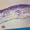 100pcs Mineral Rock Thin Section Slides Set