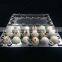 OUCHEN high quality quail egg cartons egg tray for sale