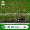 Best selling football field synthetic grass in China