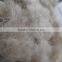 light grey wool noils, 22-27mic, 40-60mm length