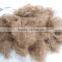 Camel hair waste, 40-50mm for tent and mattress using