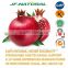 pomegranate extract manufacture Certificated with US GMP, KOSHER, HALAL, ISO, HACCP