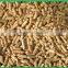 High quality and low price pellet mill made in China