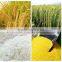 Home use rice flour mill machinery price in india