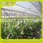 High Quality Greenhouse For Vegetable