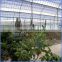 2015new UV protection dome greenhouse with anti-fog
