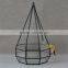 Indoor plant glass terrarium micro landscape glass greenhouse
