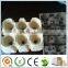 Environment Friendly Molded Pulp Wine Pack/Wine Tray/Wine Shipper/12 Bottle Wine Packaging