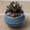 SJ10181201 Wholesale All Types Of artificial Cactus Plants