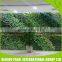 Plastic Artificial For Green Wall
