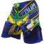Printed MMA Shorts Sublimation Fight Trunks