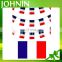 Promotion indoor/outdoor polyester 14*21cm France bunting string flag