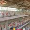 Automatic chicken egg layer cage galvanized weld wire laying hen cages high quality poultry cage for sale