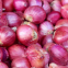 Organic Onion Premium Low Price Fresh Onions Shandong Export Red Onion Fresh Onion Price