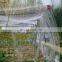 Agricultural bird netting/anti bird net/warp knitted bird netting for sale